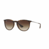 Ray-Ban Erika RB4171 865/13 54 Sunglasses