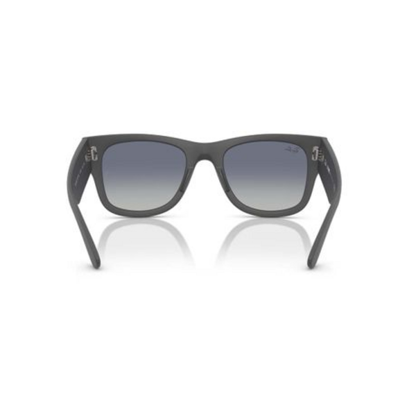 Ray-Ban RB4840S Sunglasses RB4840S 60174L 52