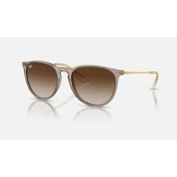 Ray-Ban Women's Erika Classic Sunglasses