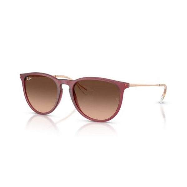 Ray-Ban - Unisex Erika Sunglasses - RB4171
